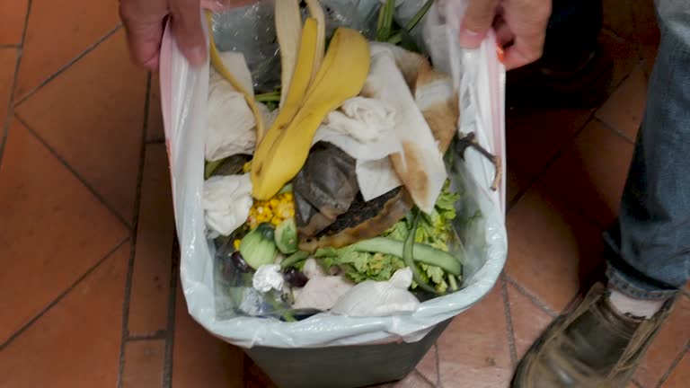 Best Property Management Cleanouts  in Centerville, TN